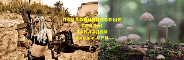 твердый Абдулино