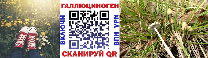 Галлюциногенные грибы Magic Shrooms  Суздаль 